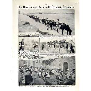  1916 WORLD WAR HERTS YEOMANRY HORSES TURKS CAIRO EGYPT 