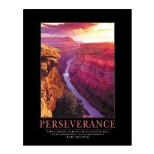    Successories Perseverance Motivational Poster
