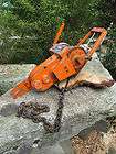 Lewis Chainsaw Winch with Anchor Chain