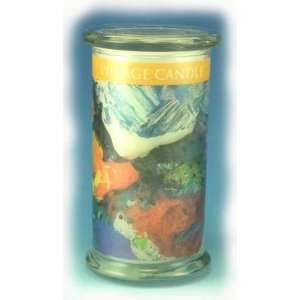 RAINBOW Radiance Wooden Wick 21 oz Scented Jar Candle by 
