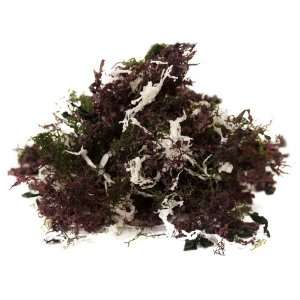 Dried Seaweed Mix, 3.52 Ounce:  Grocery & Gourmet Food