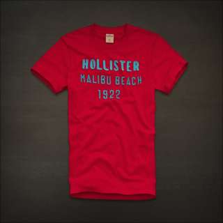 HOLLISTER MENS 2011 T SHIRTS ALL SIZES NWT!!!  