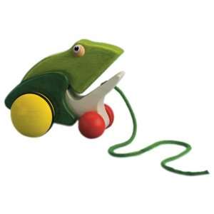  IQ Preschool Pull along Frog: Toys & Games