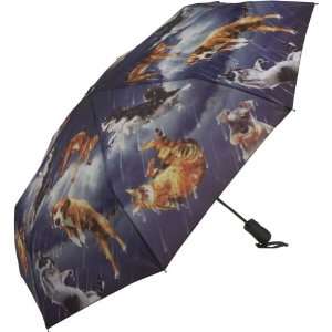  Raining Cats and Dogs Compact Folding Umbrella: Everything 