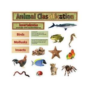  ANIMAL CLASSIFICATION MINI BB Toys & Games
