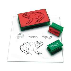  FROG LIFE CYCLE STAMP Toys & Games
