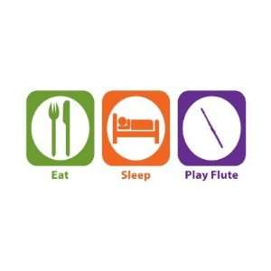  Eat Sleep Play Flute Pin