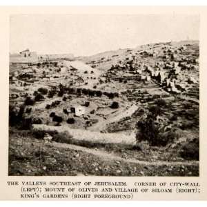  1920 Print Valleys Jerusalem Israel City Wall Mount Olives 