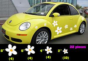   Flowers, Flowers for Beetle, Punch buggy Flowers, Punch bug daisies