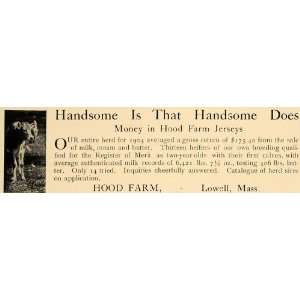 1906 Ad Hood Farm Jersey Dairy Cows Breed Lowell Mass   Original Print 