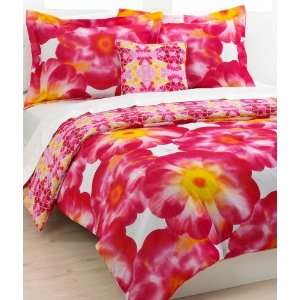  Sasha 4 Piece Full / Queen Comforter Set Pink: Home 