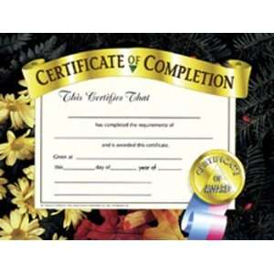   SCHOOL PUBLISHING CERTIFICATES OF COMPLETION 30 PK 