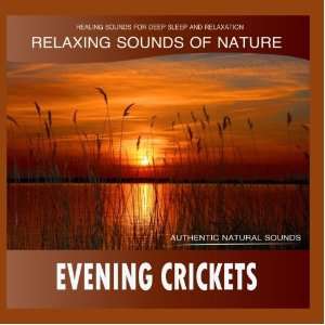 Evening Crickets Relaxing Sounds of Nature Healing Sounds 