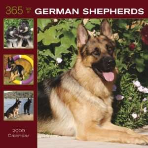 German Shepherds 365 Days 2009 Square Wall Calendar: BrownTrout 