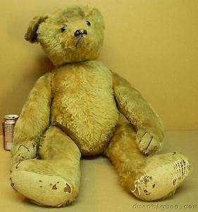   c1905 10 Rare Large 32 Display Teddy Bear Mohair Maker Unknown Steiff