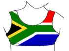 South African Flag Lyrca Shorts, South African Flag Ladies Crop Top 