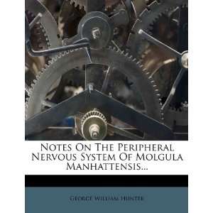  Notes On The Peripheral Nervous System Of Molgula 