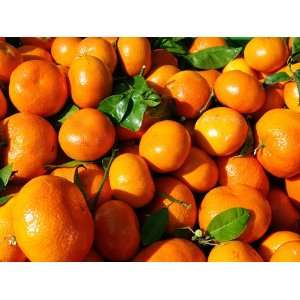   10ml Natural Orange E juice E liquid 20mg 80%VG 20%PG 