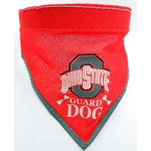  Ohio State Buckeyes Football Pet Dog Collar with Scarf 