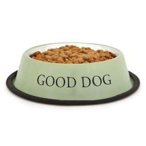  ProSelect Stainless Steel Good Dog Bowl, 8 Ounce, Sage 
