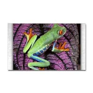  Sticker (Rectangle) Red Eyed Tree Frog on Purple Leaf 
