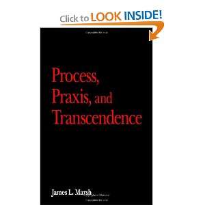  Transcendence (SUNY Series in the Philosophy of the Social Sciences
