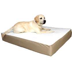 Large 34x48 Orthopedic Double Dog Pet Bed  