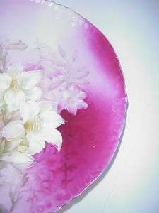 ANTIQUE PT GERMANY CABINET PLATE WHITE& PINK FLOWERS  