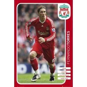  Football Posters Liverpool   Torres 08/09 Poster   35 