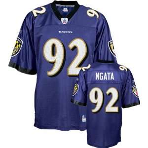 Haloti Ngata Purple Reebok NFL Baltimore Ravens Toddler Jersey:  