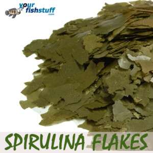 Your Fish Spirulina Flakes Aquarium Fish Food 1/2 LB  