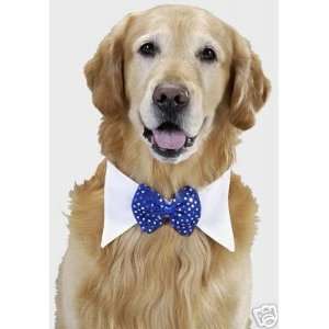  Blue Sequined Dog Tuxedo Bow Tie Dog Collar Small Kitchen 