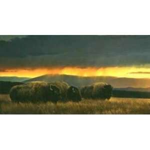  Nancy Glazier   Western Skies Canvas