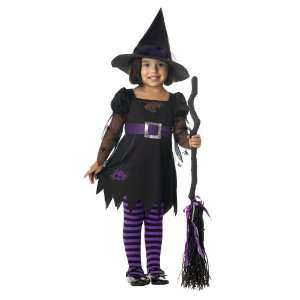   Costumes Wee Wittle Witch Toddler / Child Costume / Black   Size 40972