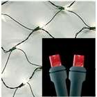 Light Energy Designs LLC 5MM LED Net, Red 100 Lights, 4 X 6, Fully 