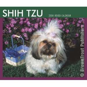  Shih Tzu   2008 Boxed Calendar