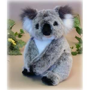  10 Sitting Koala Bear Case Pack 24 