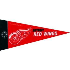    NHL Mini Detroit Red Wings Pennant, (2 Pack): Sports & Outdoors