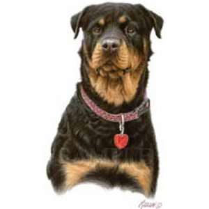  T shirts Animals Dogs Head Rottweiler Xxl: Everything 