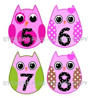 Baby Girl Owls Monthly Onesie Number Picture Stickers  