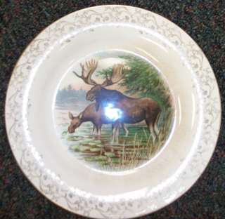 Buffalo Pottery Moose Collector Plate Wild Life  
