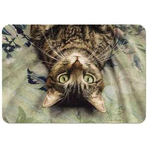  Perspective Tabby Cat Kitten Placemat Feeding Mat