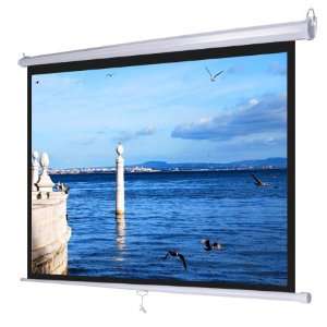  Pull Down Projector Screen Wall Celling Mounted 100 43 