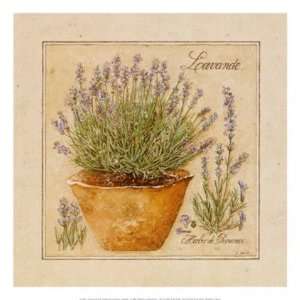  Herbes de Provence, Lavande by David Laurence 13x13 