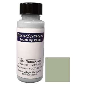   Touch Up Paint for 2002 Nissan Primera (color code: KY5) and Clearcoat