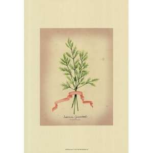  Herb Series V   Poster by Jennifer Goldberger (9x12)