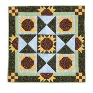   easy quilt pattern by Karen Grof of Happy Apple Quilts Arts, Crafts