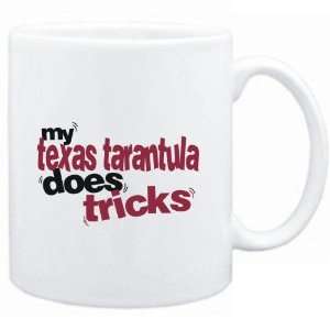   White  My Texas Tarantula does tricks  Animals