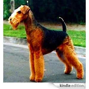 The Airedale Terrier Book AppBookShop  Kindle Store