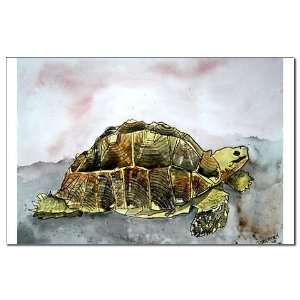  african desert tortoise land Pets Mini Poster Print by 